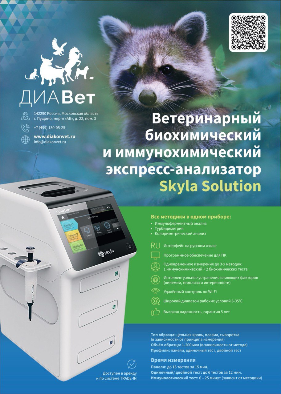 Skyla Solution всего за 450 000 рублей.Акция завершена!