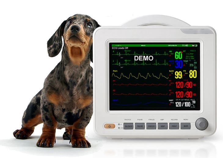 Как выбрать ветеринарный монитор пациента?
