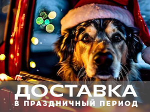 Доставка в праздничный период.
