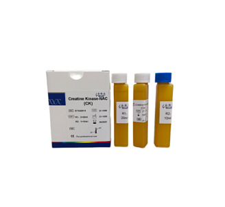 КРЕАТИНКИНАЗА (CK-NAC) 175 мл (R1: 2×70 мл,  R2: 1×35 мл), EGS201X