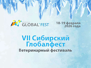 Возрождение СИБИРСКОГО ГЛОБАЛФЕСТА 2026!