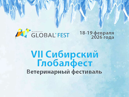 Возрождение СИБИРСКОГО ГЛОБАЛФЕСТА 2026!