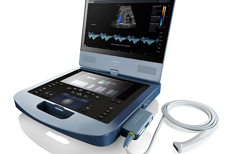 УЗИ-диагностика в ветеринарии