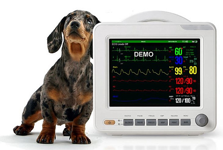 Как выбрать ветеринарный монитор пациента?