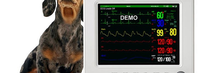 Как выбрать ветеринарный монитор пациента?