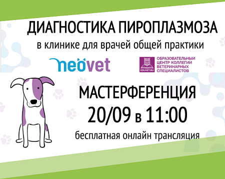 Мастерференция "Диагностика пироплазмоза"
