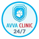 AVVA CLINIC лого