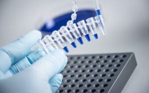 Применение метода ПЦР в режиме реального времени в лабораторной диагностике инфекций животных