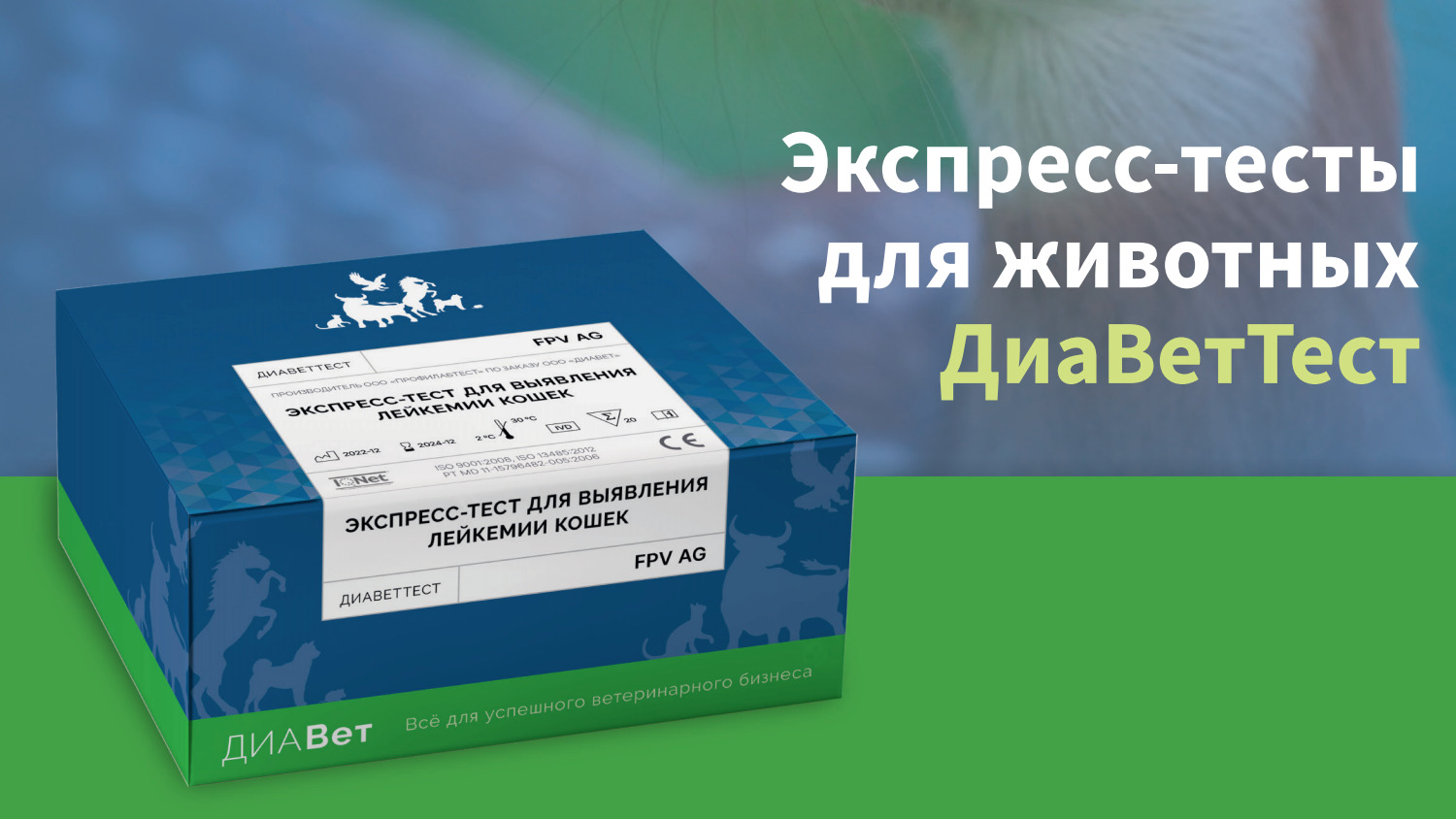 🚀 Экспресс-тесты (включая бабезиоз) 💉 ДИАВЕТ