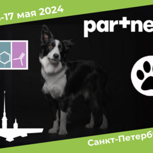 Санкт-Петербургская ветеринарная терапевтическая конференция 2024